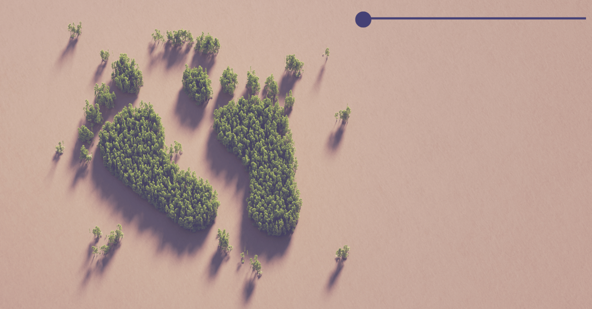 Take Climate Action The Importance of Offsetting Your Company&rsquo;s Digital Carbon Footprint Featured Images